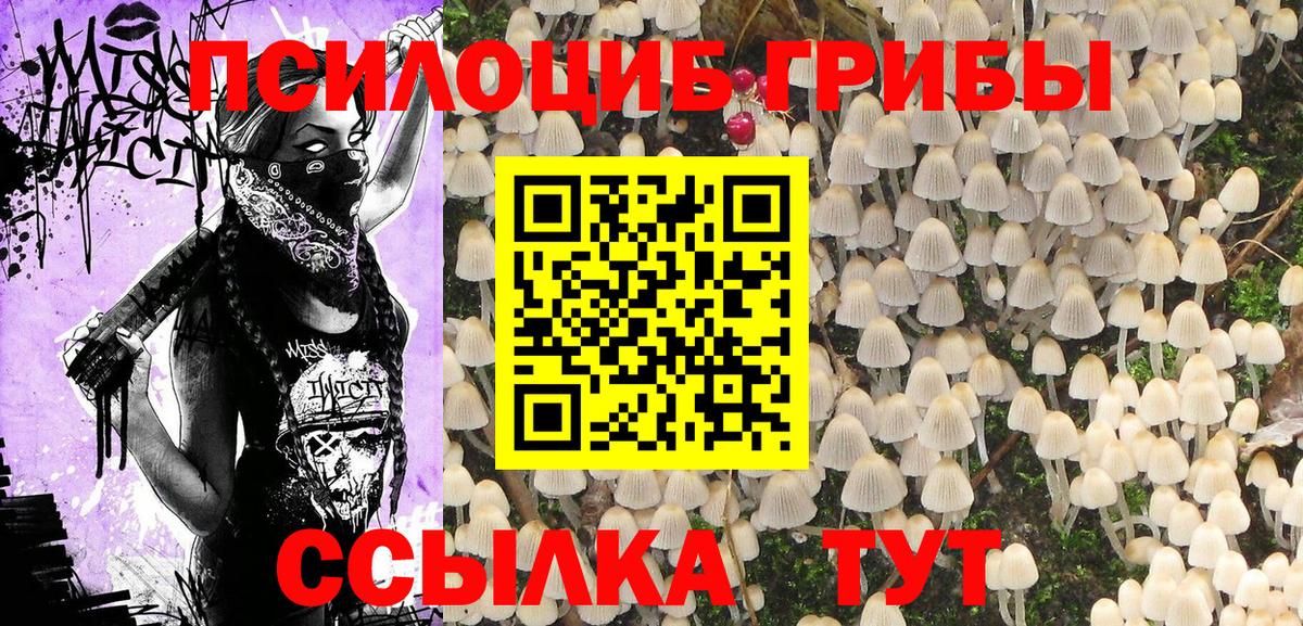 Псилоцибиновые грибы MAGIC MUSHROOMS  Псилоцибиновые грибы прущие грибы  Каспийск  Вход с VPN 